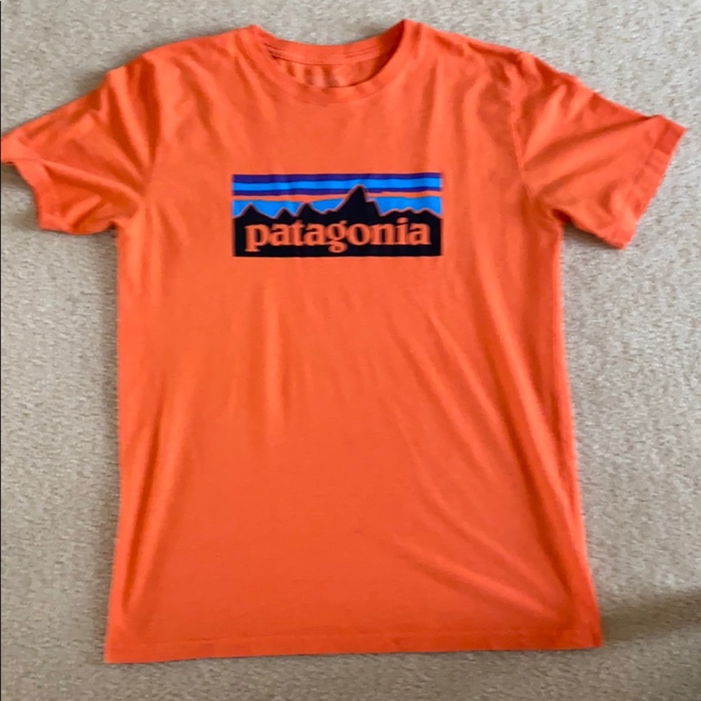 Boys Patagonia t-shirt